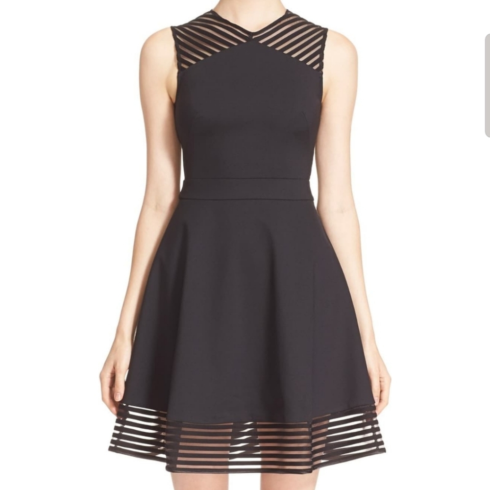 Ted Baker 'Eleese' Mesh Detail Skater Dress -Ted 0